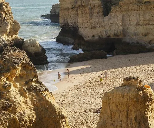 Design House Sao Rafael